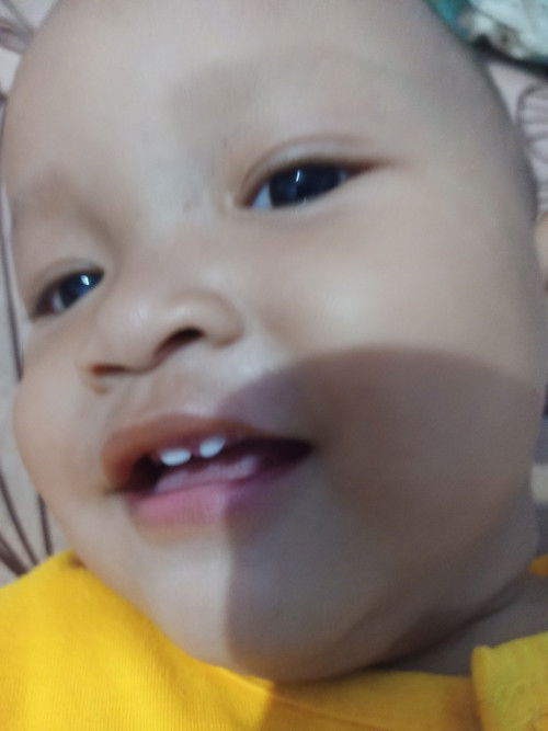 Gigi bayi umur 14 thun