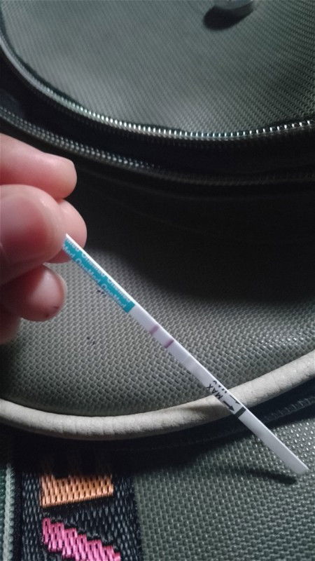 Enaknya priksa kapan bun?