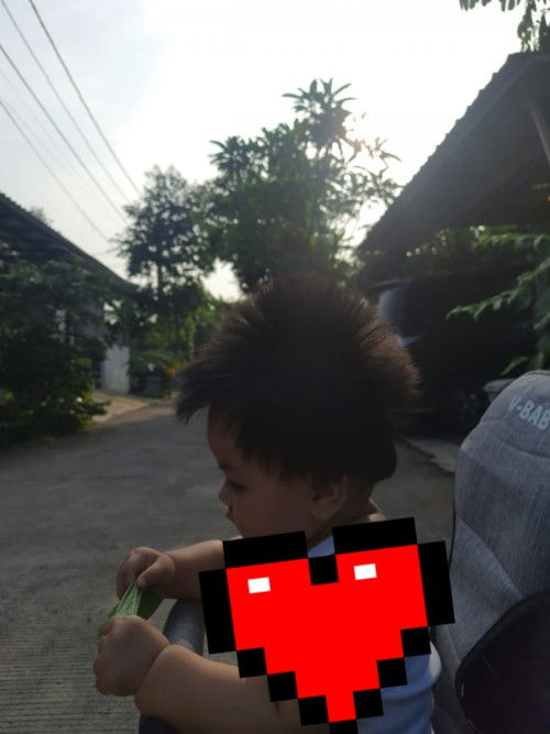 rambut berdiri paripurna