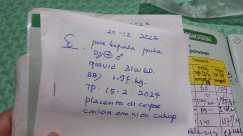 Hasil USG Artinya Apa Ya Bunda Ad Yang Tau Gak