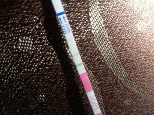 Bertanya tentang kehamilan