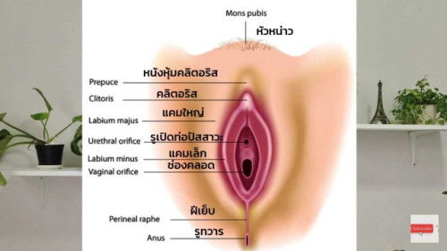 เจ็บแสบ รูเปิดท่อปัสสาวะ