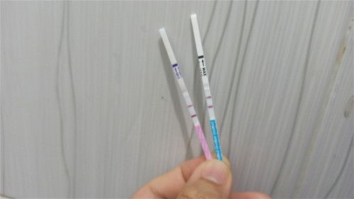 HPHT 25 November, TP 2 Garis