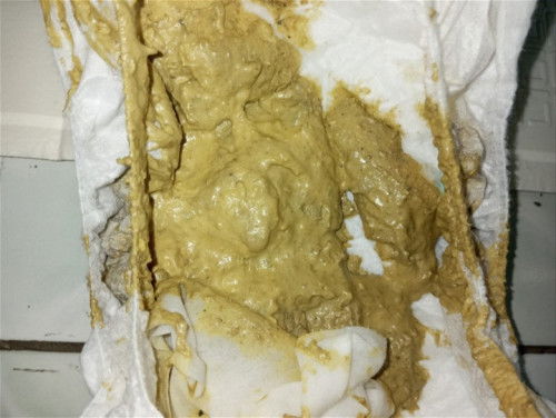 Bab bayi setelah mpasi