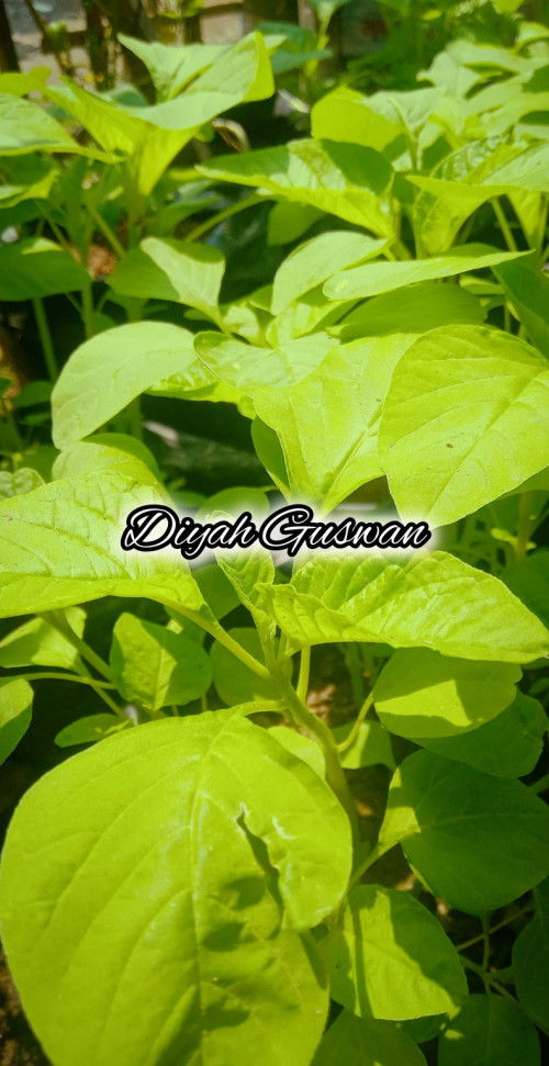 Mengisi Liburan Si Kecil