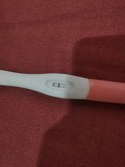Pregnancy test
