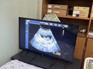 Post reply image
