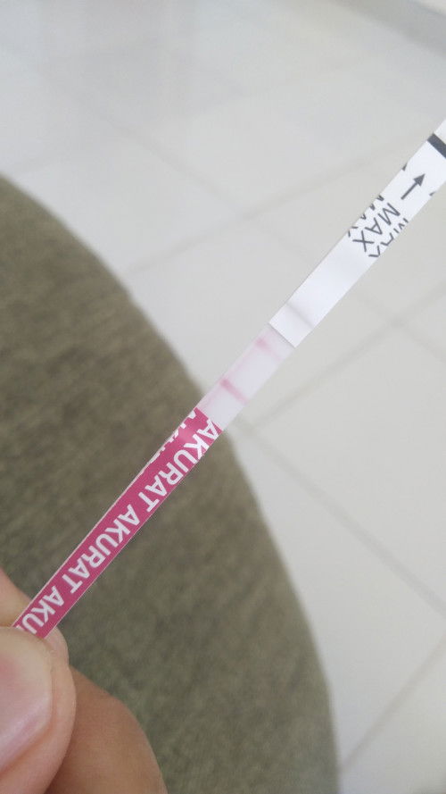 Kapan sebaiknya USG ya?