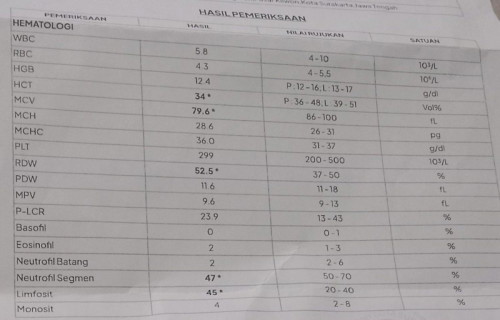 Ada yg bisa baca hasil lab? Tolong dibantu yaa bunda***