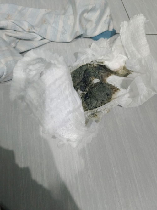 Pup bayi sufor morinaga