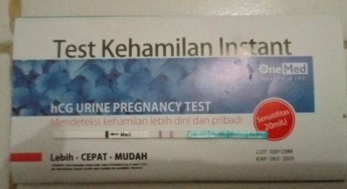 donor darah pas hamil muda