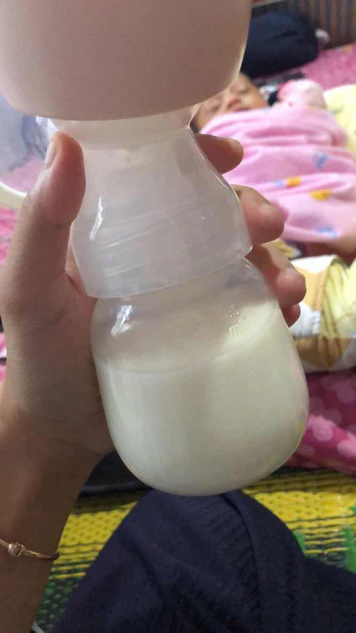 Bayi usia berapa bulan sih yang sudah bisa di berikan asi booster atau puding asip ?