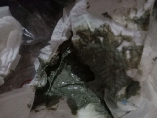 Bun mau tnya, maaf rada jorok