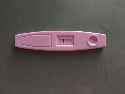 Test pregnant