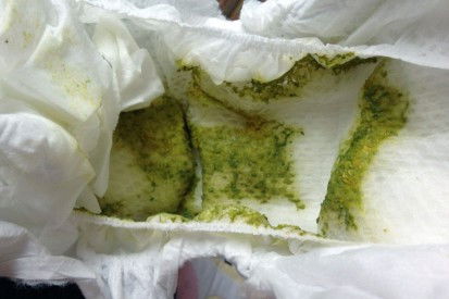 Normal ke bayi 8 bulan tekstur poo poo macamni?sehari 4 ke 5 kali..