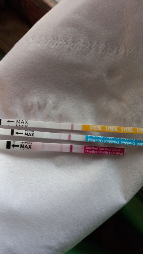 Tespek sebelum terlambat haid