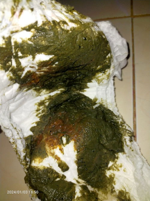 Pup bayi hijau ee kuda