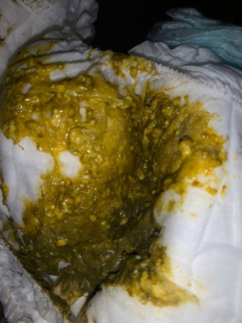 Pup bayi 5 bulan berlendir dan bulat seperti biji cabe