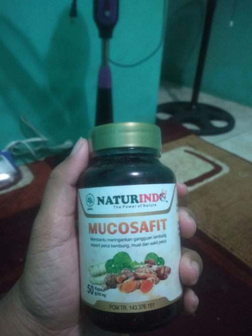 Obat herbal gerd/lambung