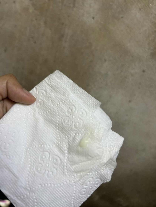 KEPUTIHAN AWAL PREGNANT