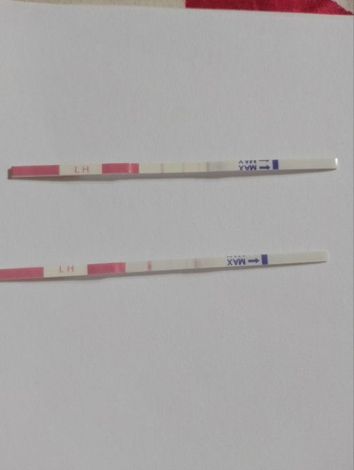 4hari buln cek opk terang ...second cek dh kabur ...dan hari ni cek dh samar