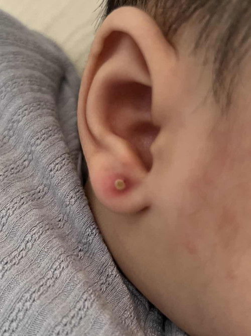 Các mom cho em hỏi với ạ