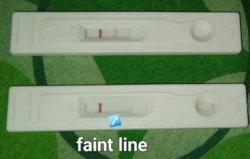 Pregnancy test