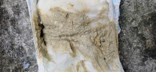 Pale Poop. (Pasintabi sa kumakain)