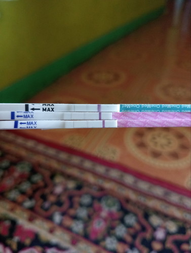 Tespeck kehamilan