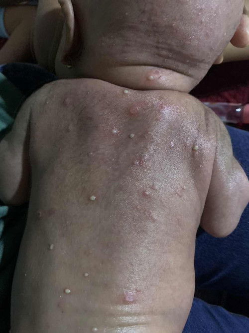 Mau tanya yang sudah berpengalaman