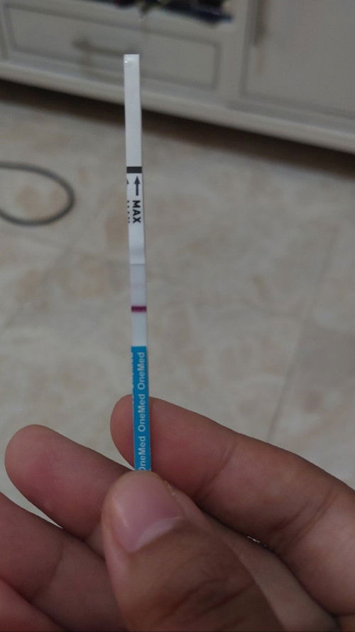 Hpht tgl 9 Nov, Apakah kemungkinan ini bisa positif