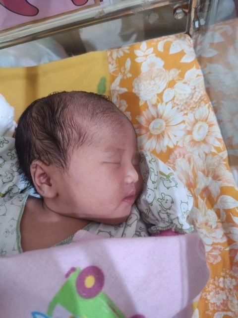 Hpl 19 Januari Launching 5 januari