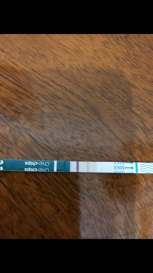 Tham khảo ý kiến các mom