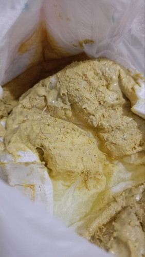 Apakah warna poop.ini normal atau bahaya ya bun
