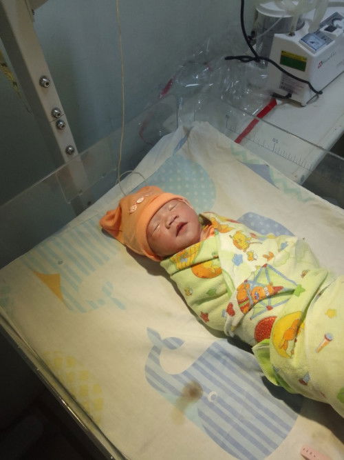 Hpl 13jan lahir 10jan