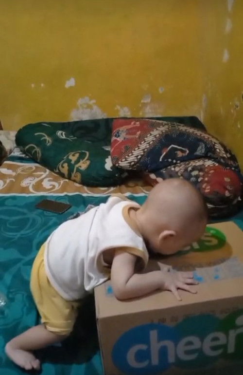 bayi 6 bulan udah merangkak, duduk, berdiri sendiri