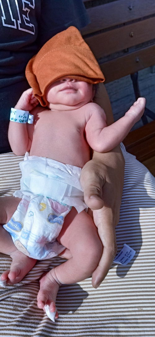 Hpl 25 Januari lahir 10 Januari