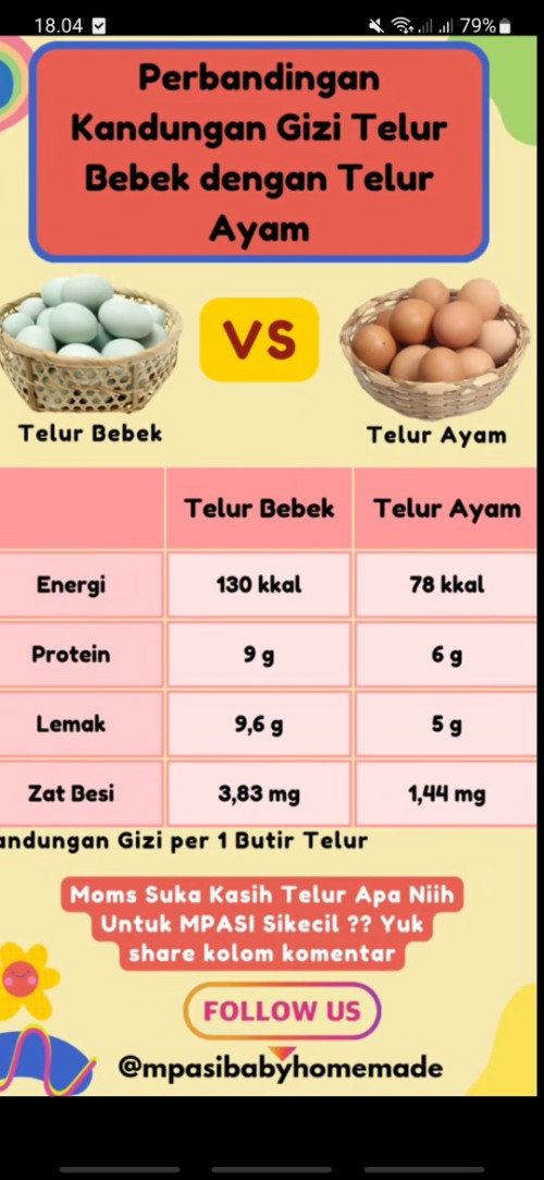 Mpasi Telur Bebek