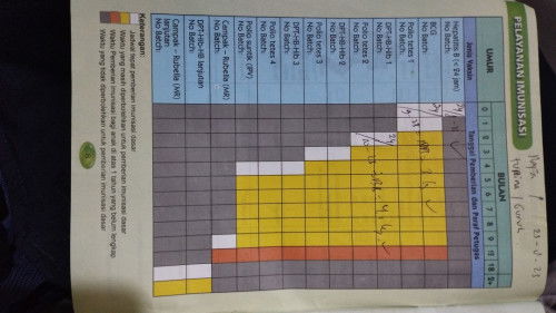 DPT dulu atau IPV dulu?