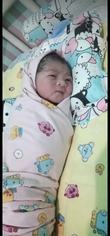 Hpl 15 Januari 2024 Launching 13 Januari 2024