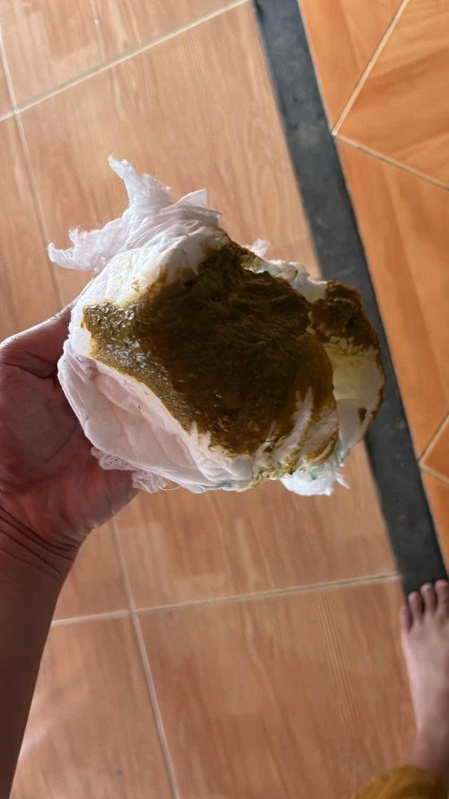 Warna pup untuk anak sufor