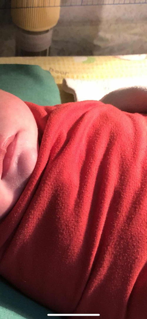 HPL 29 Januari Launching 14 Januari