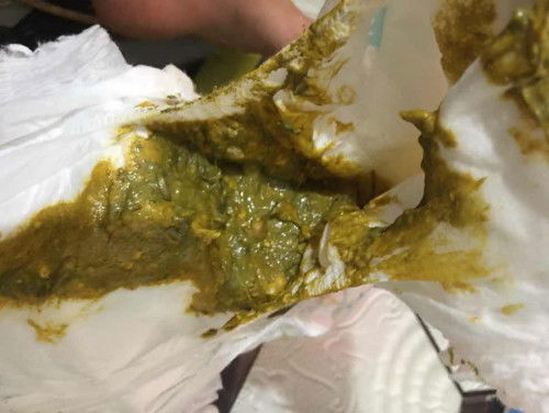 Bab Bayi sufor dan asi