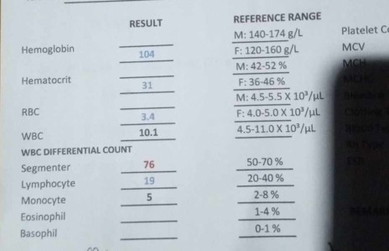 Hematology Results