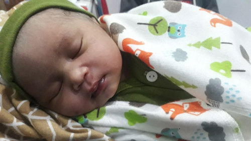 Hpl 24 Januari launching 16 Januari..