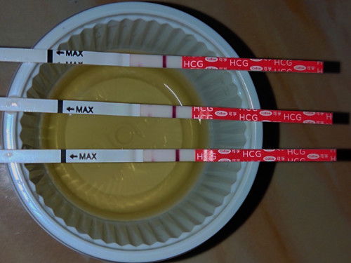 งง ค่ะแม่ๆ หรือว่า ที่ตรวจผิดพลาด หรือเราต้องรอค่ะ