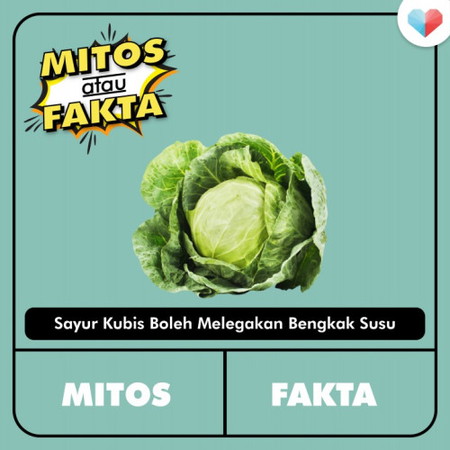 Mitos Atau Fakta: Hubung Kait Sayur Kubis dan Bengkak Susu