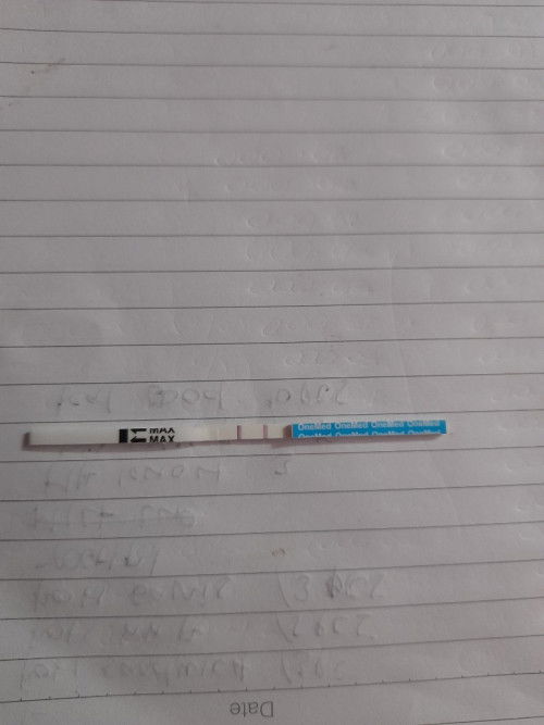 Hamil 4w tdk merasakan apapun