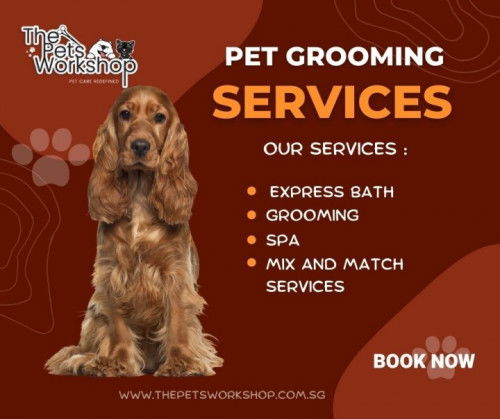 Here’s a glimpse into the specialties that elevate professional pet grooming into an artful celebrat