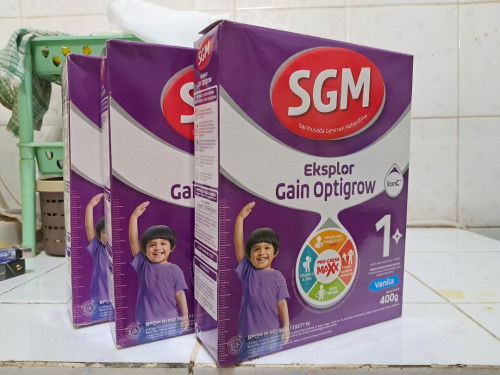 Susu formula anak